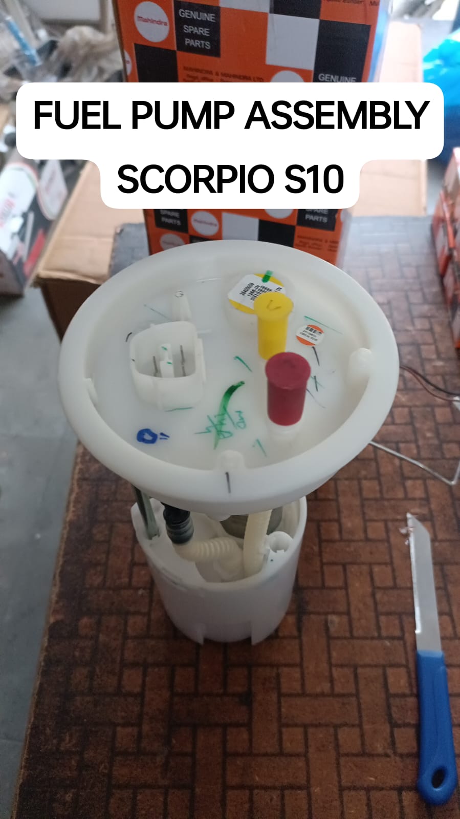 Fuel Pump Assembly